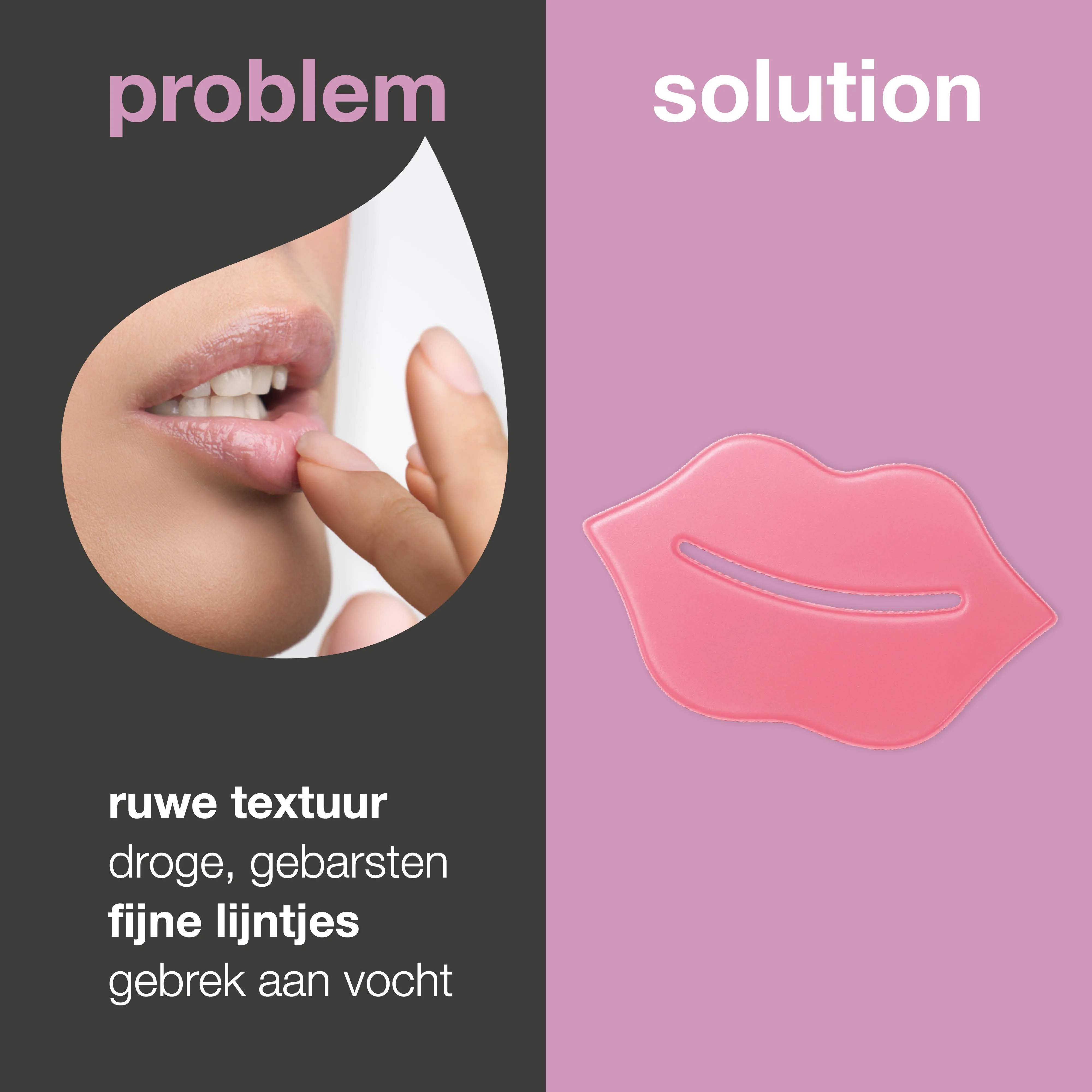 Productafbeelding 2